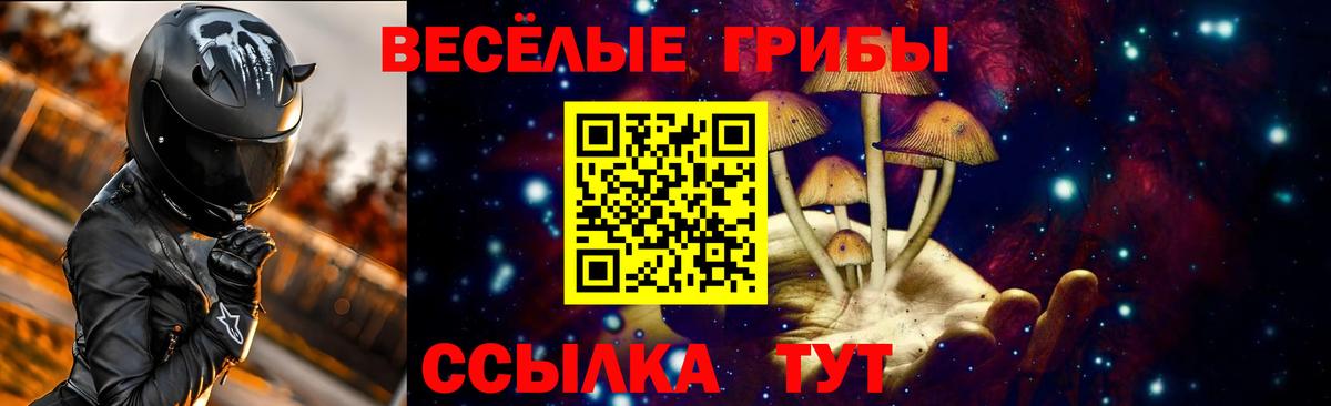 Сокол  Галлюциногенные грибы прущие грибы  Вход с VPN 