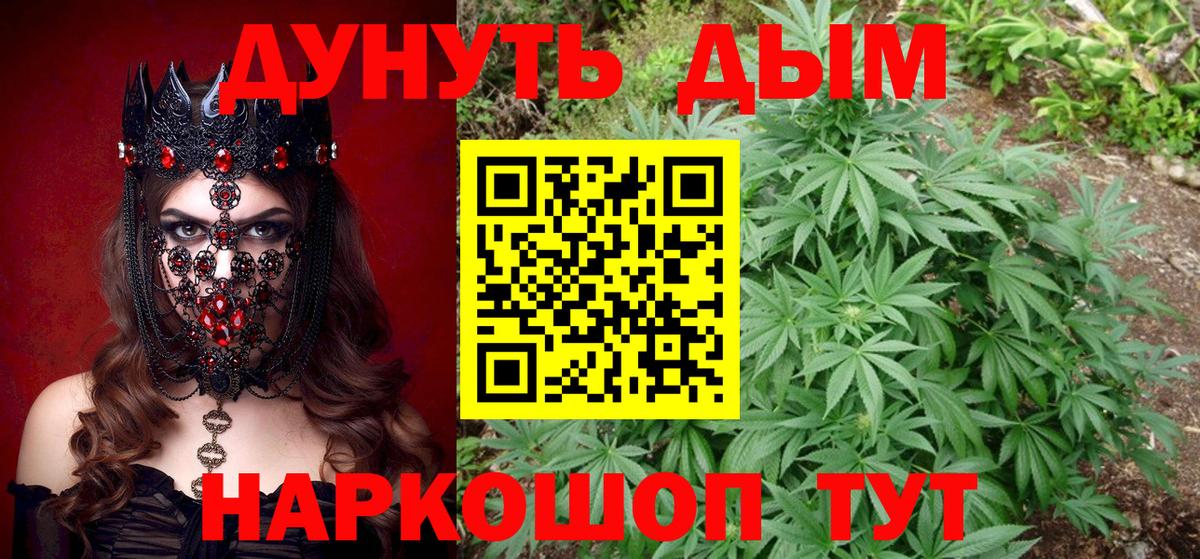 Канабис ГИДРОПОН Сокол